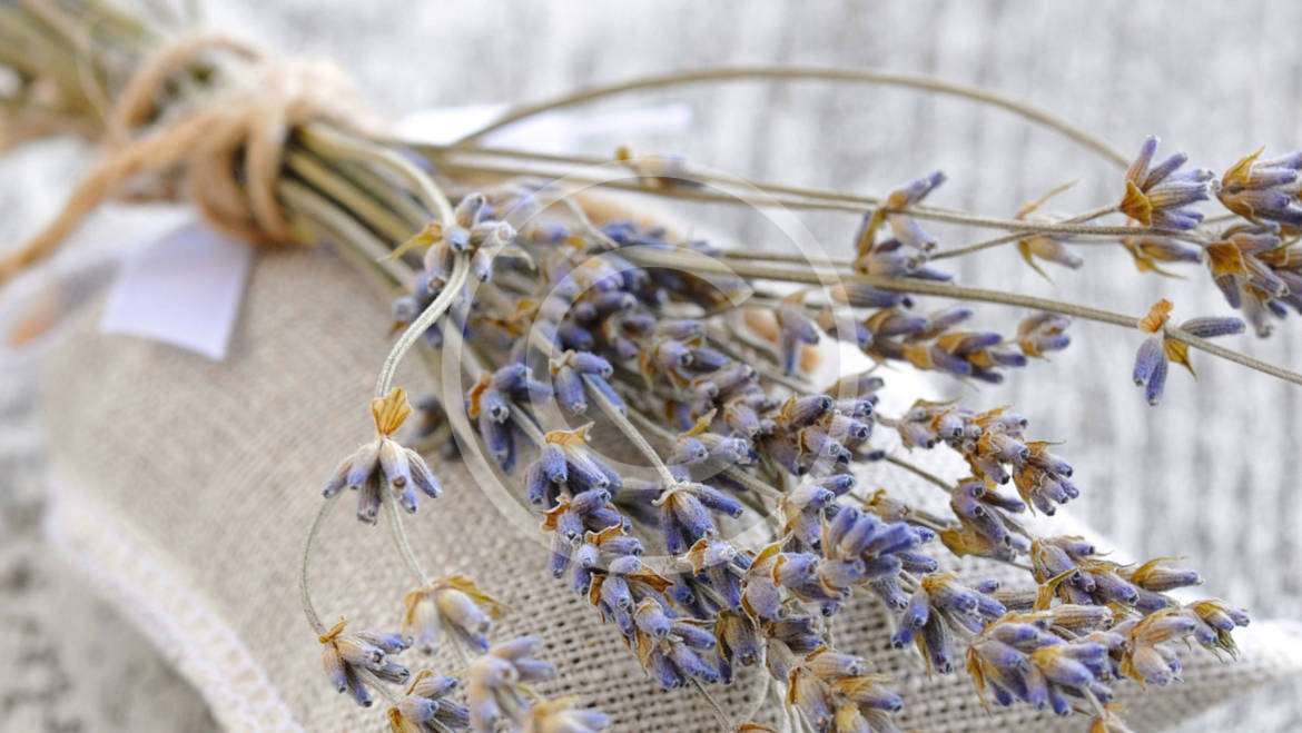 Best Korean Makeup Brands