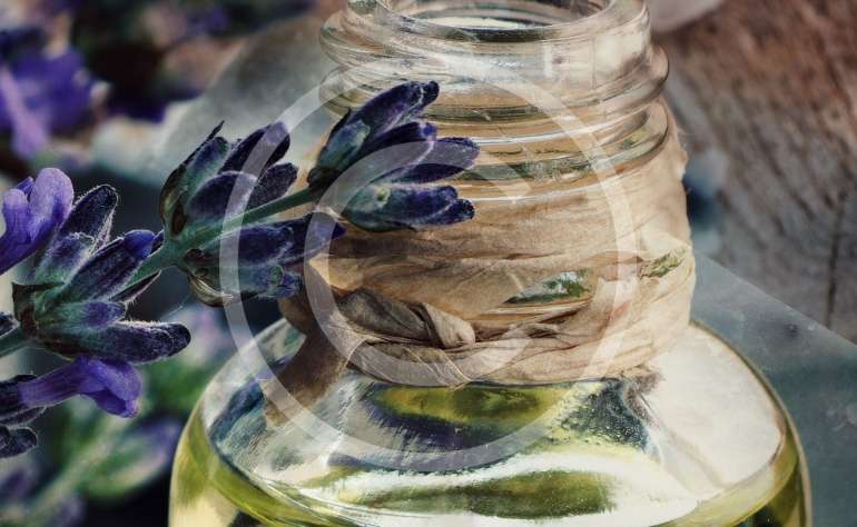 What’s the Difference?